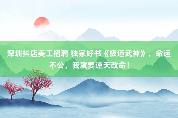 深圳抖店美工招聘 独家好书《极道武神》，命运不公，我就要逆天改命！