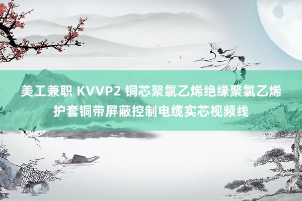 美工兼职 KVVP2 铜芯聚氯乙烯绝缘聚氯乙烯护套铜带屏蔽控制电缆实芯视频线